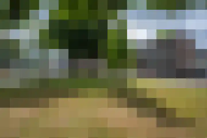 Saroleaplantsoen 1 Landgraaf thumbnail 25