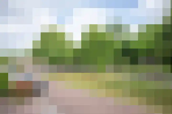 Saroleaplantsoen 1 Landgraaf thumbnail 26