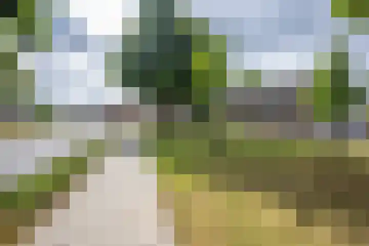 Saroleaplantsoen 1 Landgraaf thumbnail 27