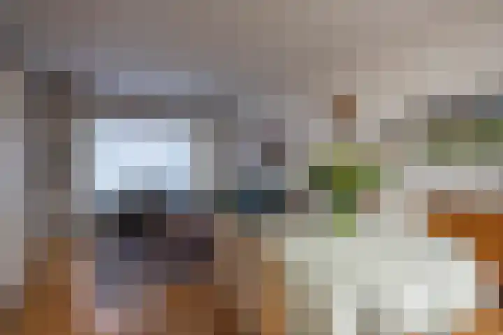 Saroleaplantsoen 1 Landgraaf thumbnail 6