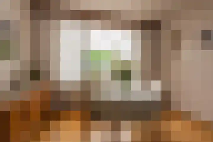 Saroleaplantsoen 1 Landgraaf thumbnail 7