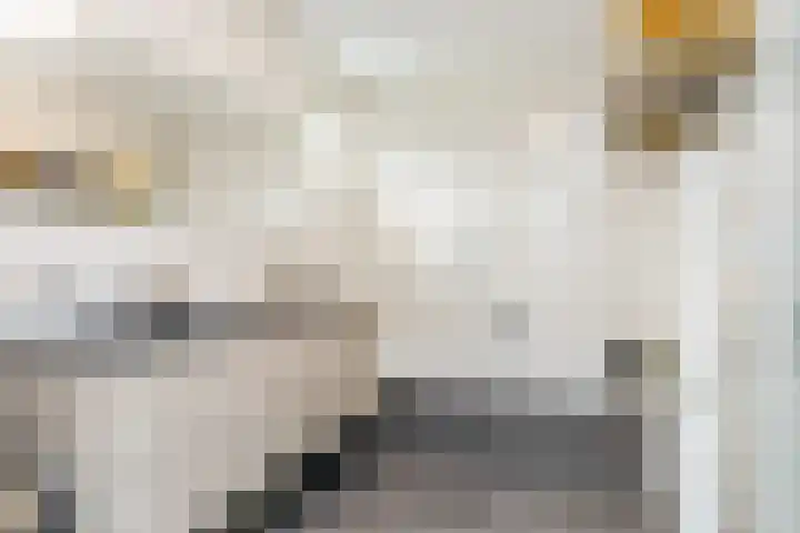 Saroleaplantsoen 18 Landgraaf thumbnail 22