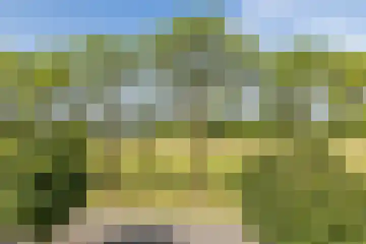 Saroleaplantsoen 18 Landgraaf thumbnail 32