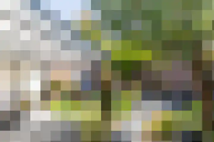 Saroleaplantsoen 18 Landgraaf thumbnail 33