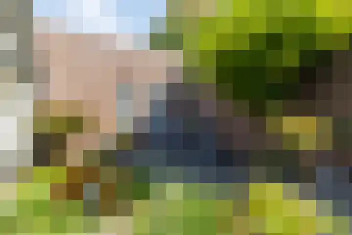 Saroleaplantsoen 18 Landgraaf thumbnail 34