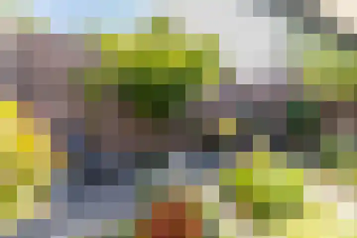 Saroleaplantsoen 18 Landgraaf thumbnail 35