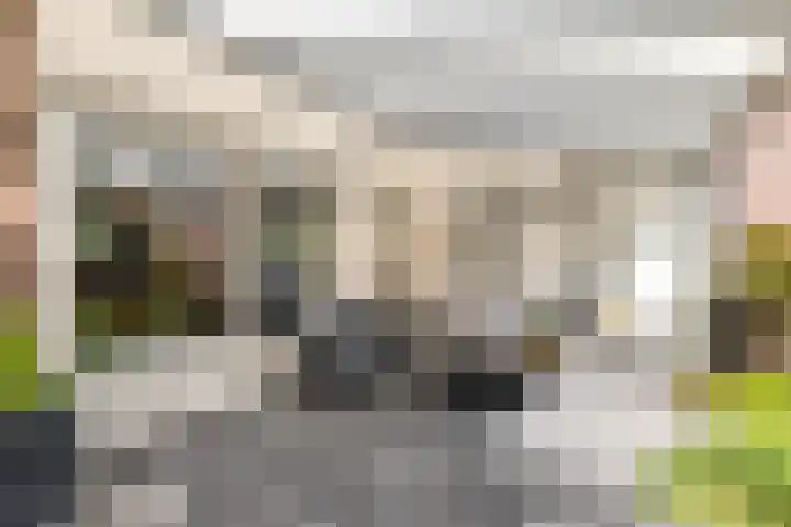 Saroleaplantsoen 18 Landgraaf thumbnail 36
