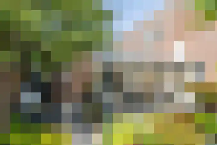 Saroleaplantsoen 18 Landgraaf thumbnail 37