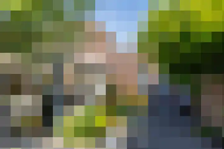Saroleaplantsoen 18 Landgraaf thumbnail 38