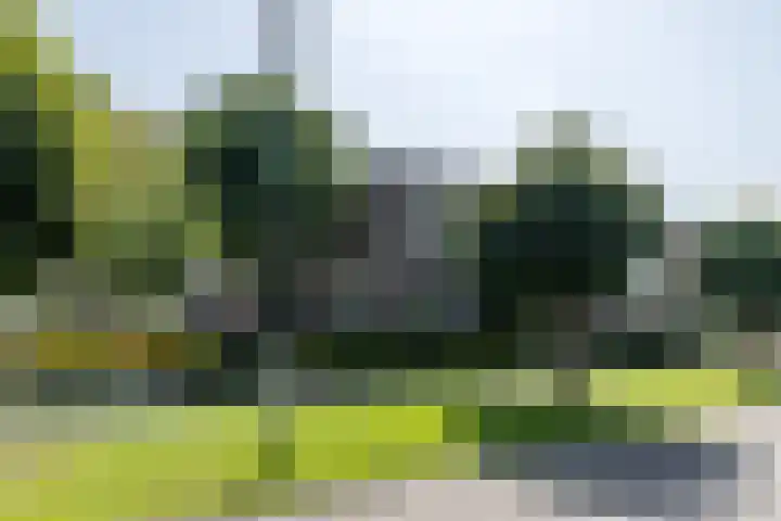 Saroleaplantsoen 18 Landgraaf thumbnail 40