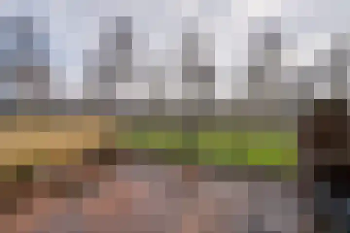 Sarongstraat 86 Purmerend thumbnail 10