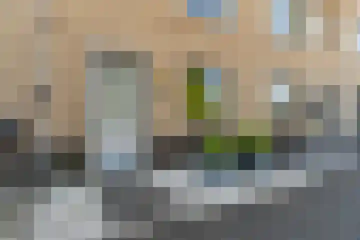 Sarongweg 13 Almere thumbnail 6