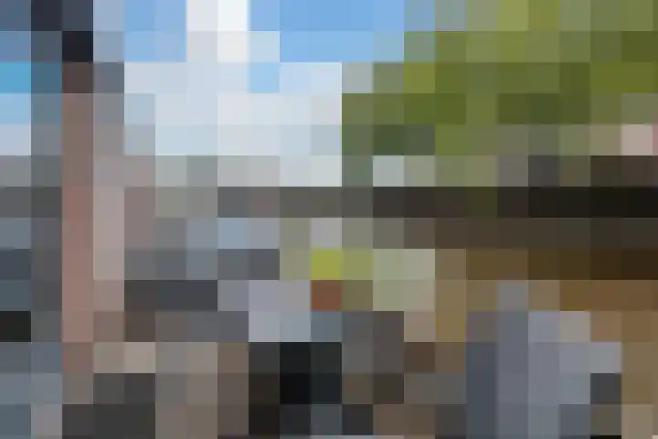 Sarphatikade 16 W Amsterdam thumbnail 15