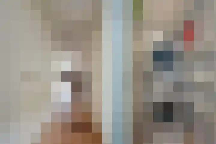 Sarphatikade 16 W Amsterdam thumbnail 23