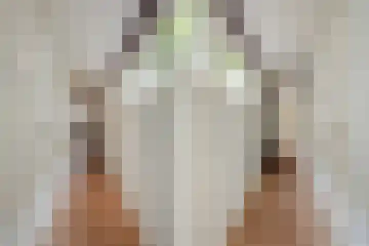 Sarphatikade 16 W Amsterdam thumbnail 24