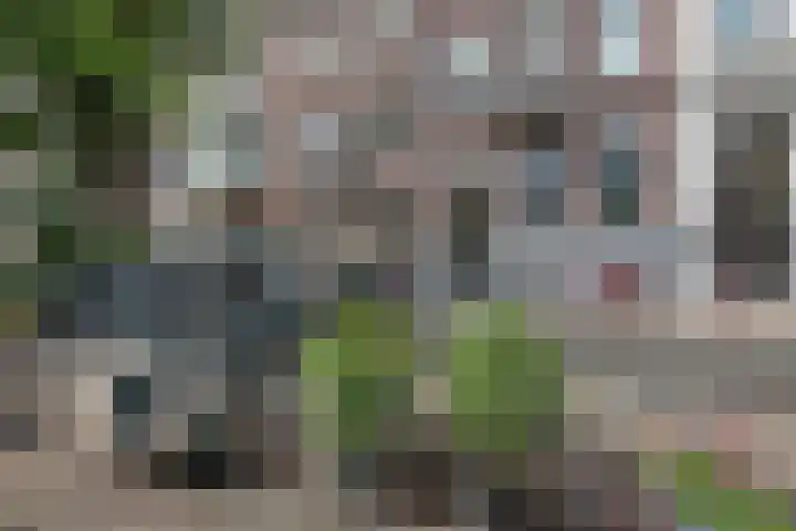 Sarphatikade 16 W Amsterdam thumbnail 32