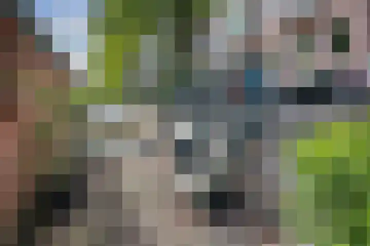 Sarphatikade 16 W Amsterdam thumbnail 33