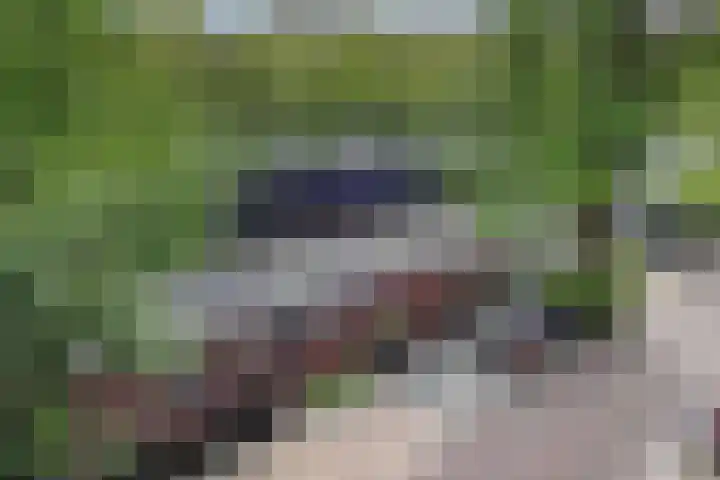 Sarphatikade 16 W Amsterdam thumbnail 37