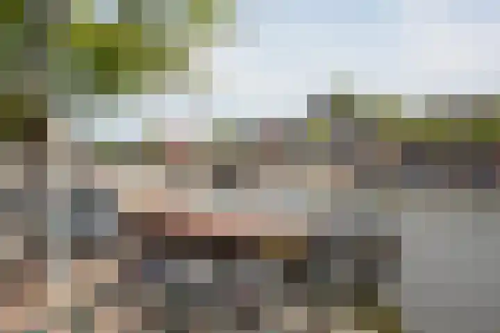 Sarphatikade 16 W Amsterdam thumbnail 38