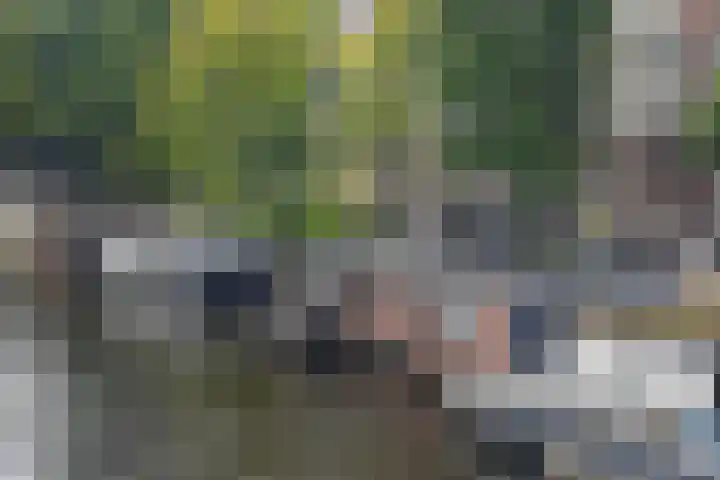 Sarphatikade 16 W Amsterdam thumbnail 4