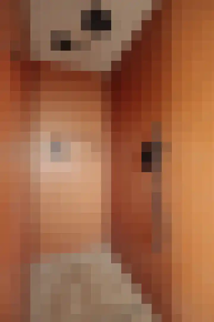 Sarphatikade 2 E Amsterdam thumbnail 14