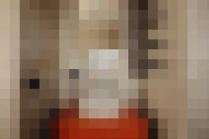 Sarphatikade 2 E Amsterdam thumbnail 15