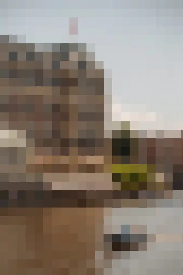Sarphatikade 2 E Amsterdam thumbnail 24
