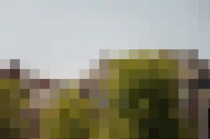 Sarphatikade 2 E Amsterdam thumbnail 5