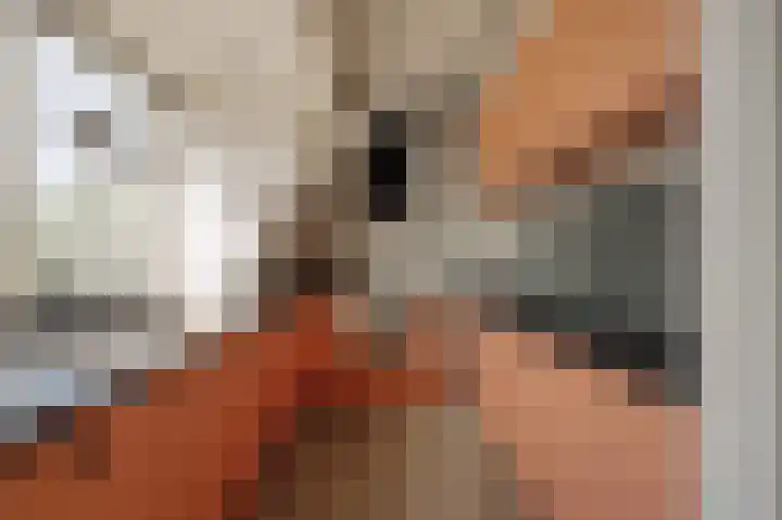 Sarphatikade 2 E Amsterdam thumbnail 7