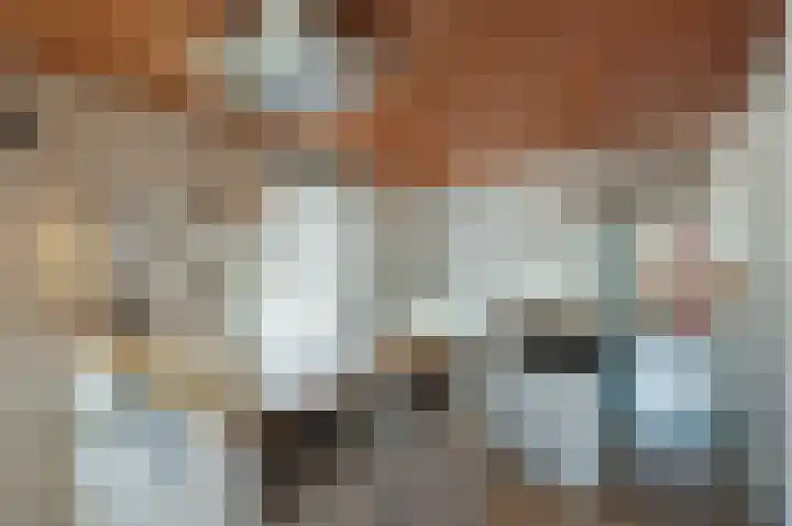 Sarphatikade 6 W Amsterdam thumbnail 9