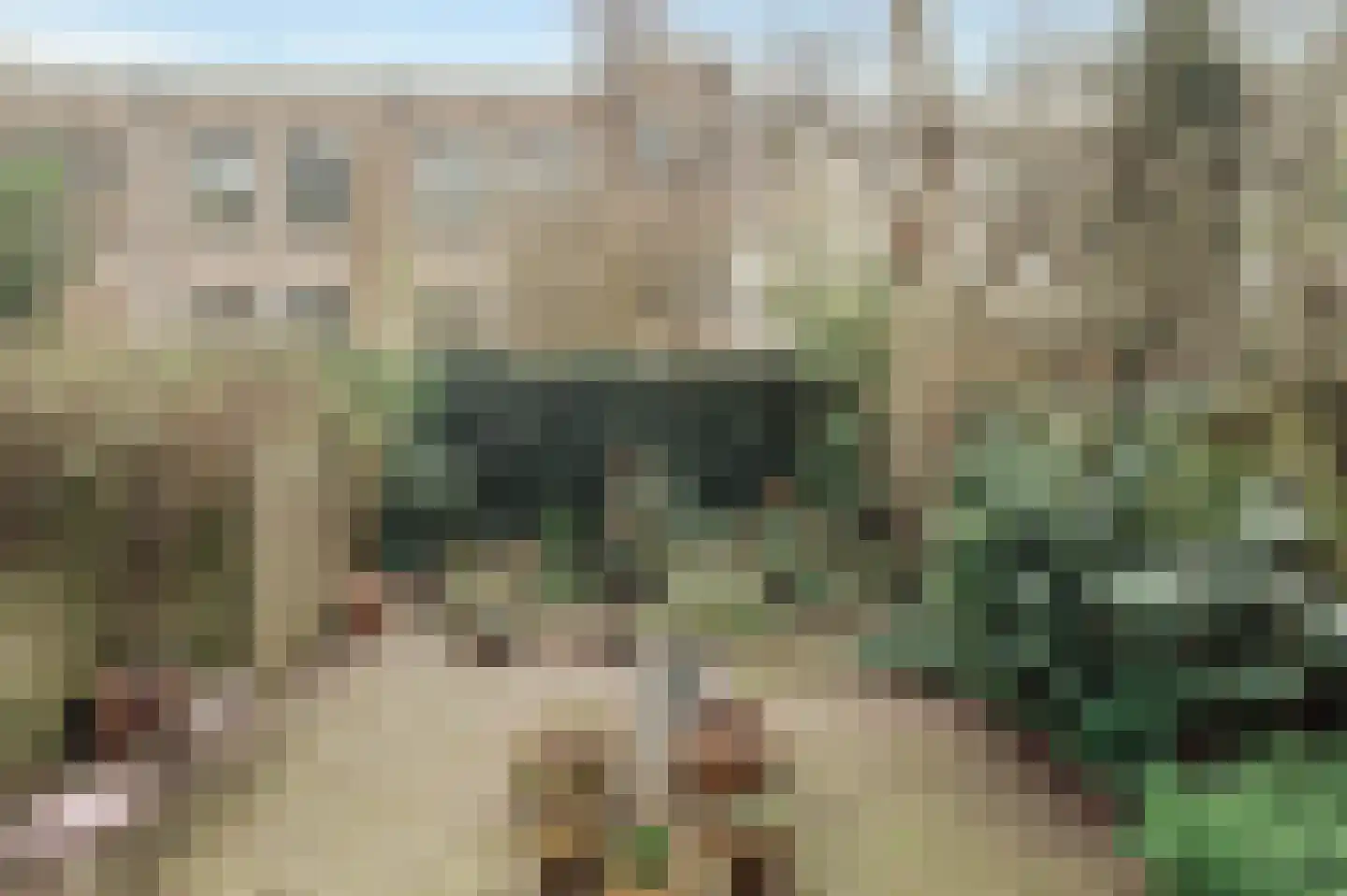 Sarphatipark 100 2 Amsterdam thumbnail 16