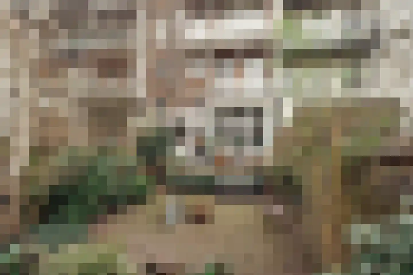 Sarphatipark 100 2 Amsterdam thumbnail 17