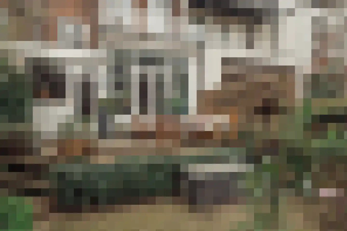 Sarphatipark 100 2 Amsterdam thumbnail 18