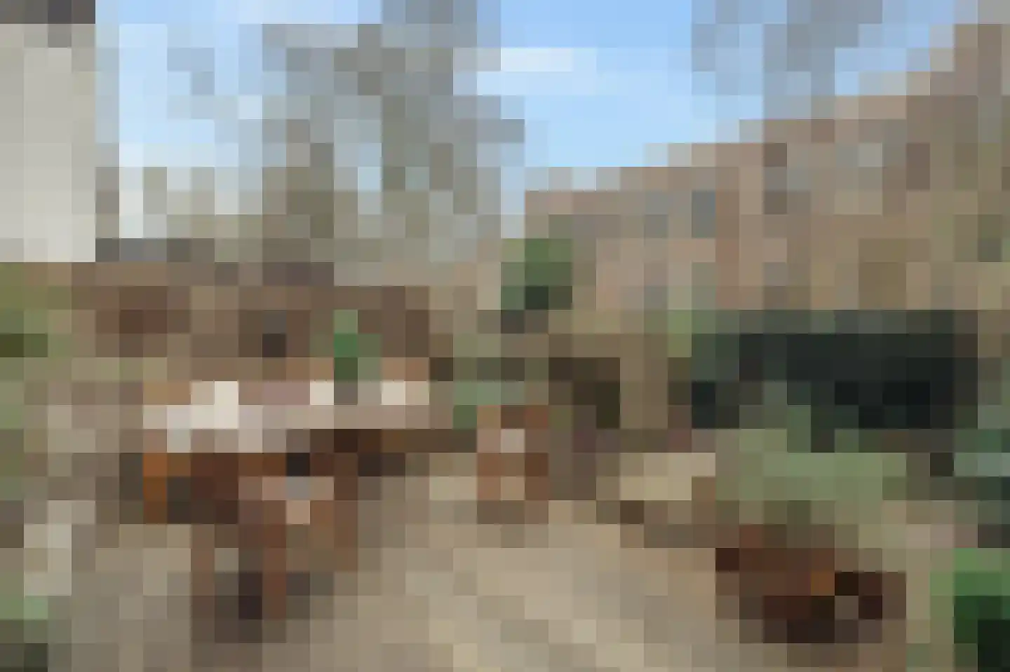 Sarphatipark 100 2 Amsterdam thumbnail 4