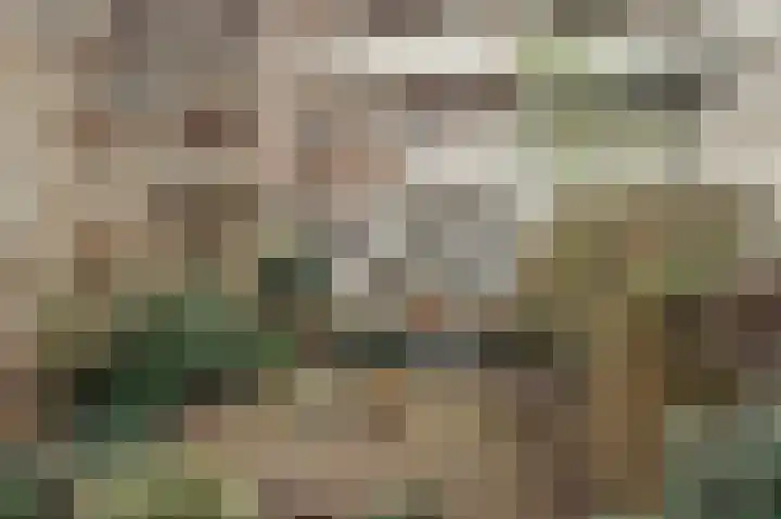 Sarphatipark 100 H Amsterdam thumbnail 17