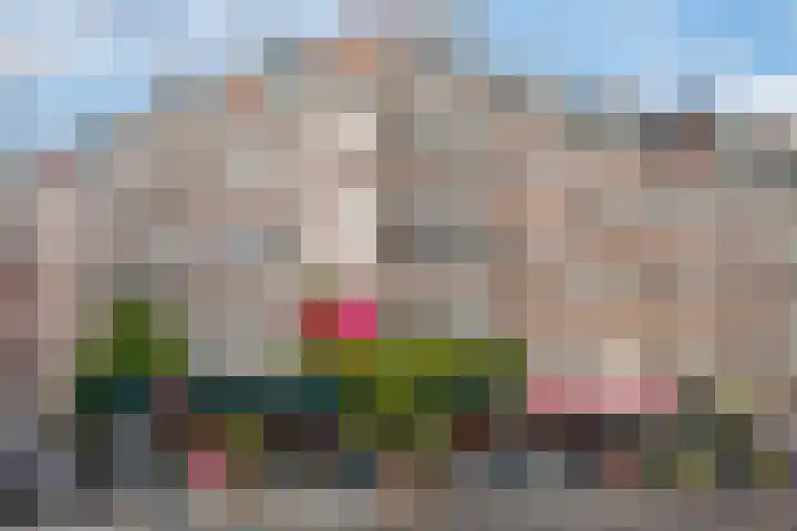 Sarphatipark 100 H Amsterdam thumbnail 42