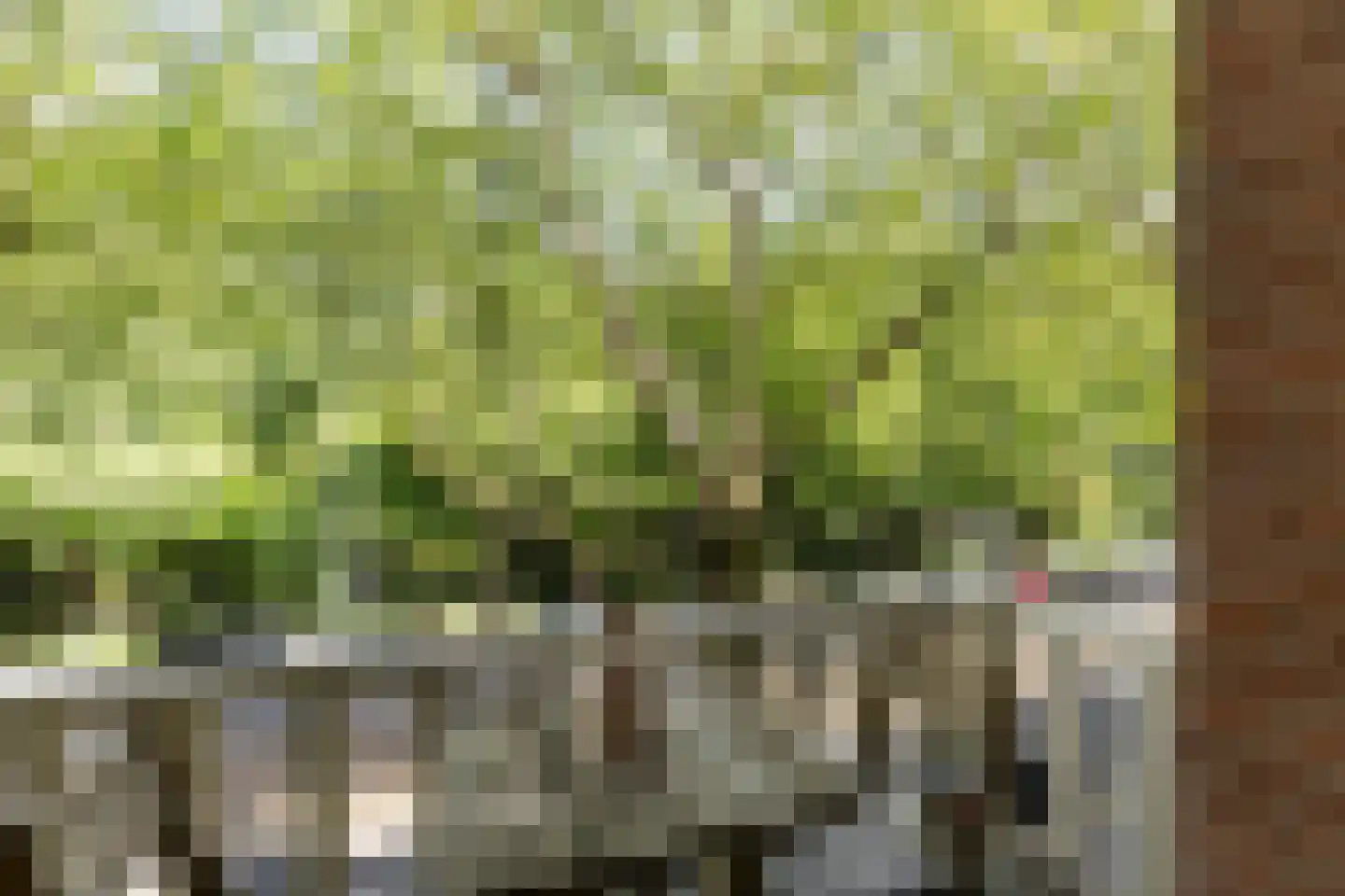 Sarphatipark 110 H Amsterdam thumbnail 12
