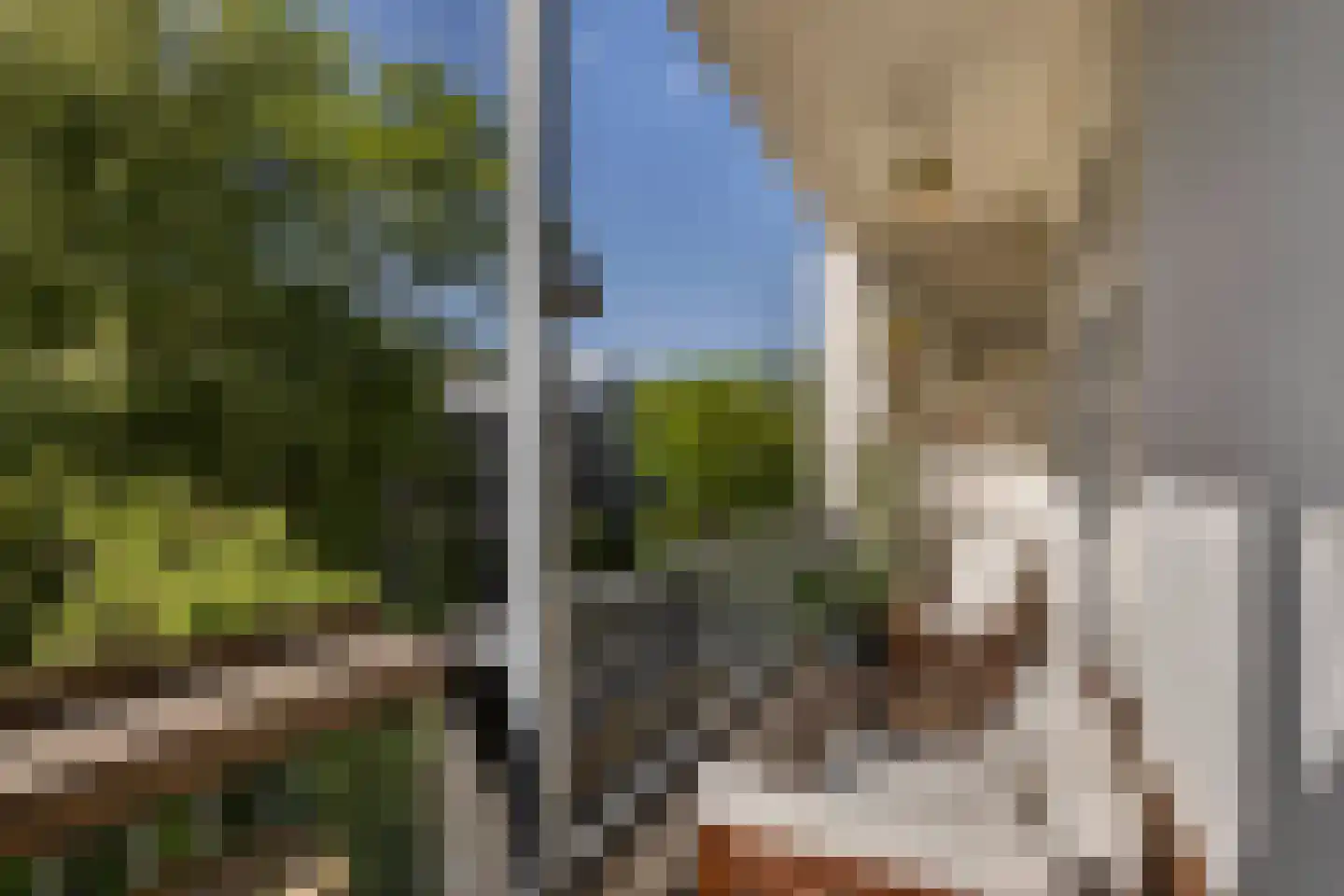 Sarphatipark 110 H Amsterdam thumbnail 4