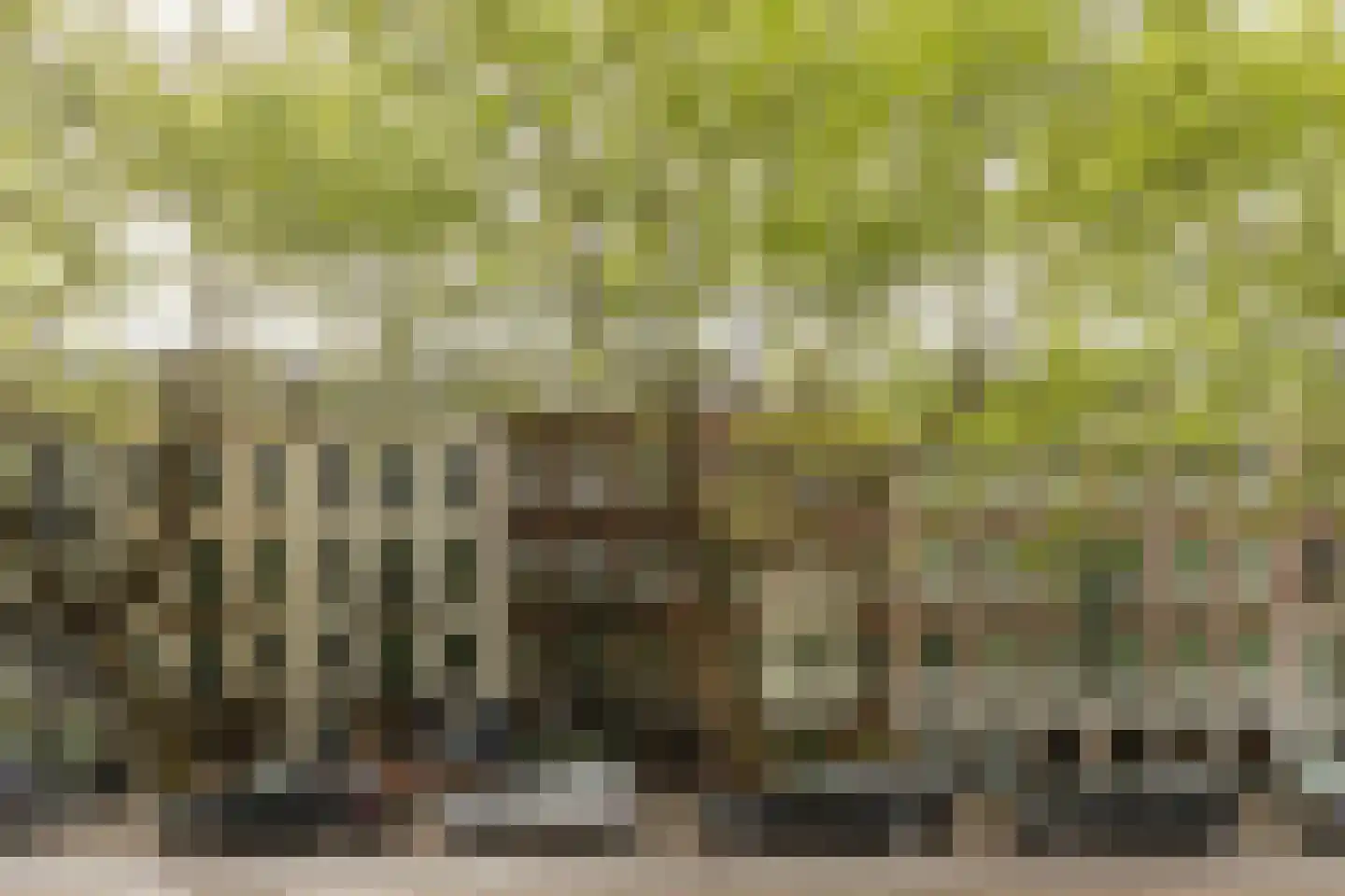 Sarphatipark 110 H Amsterdam thumbnail 5