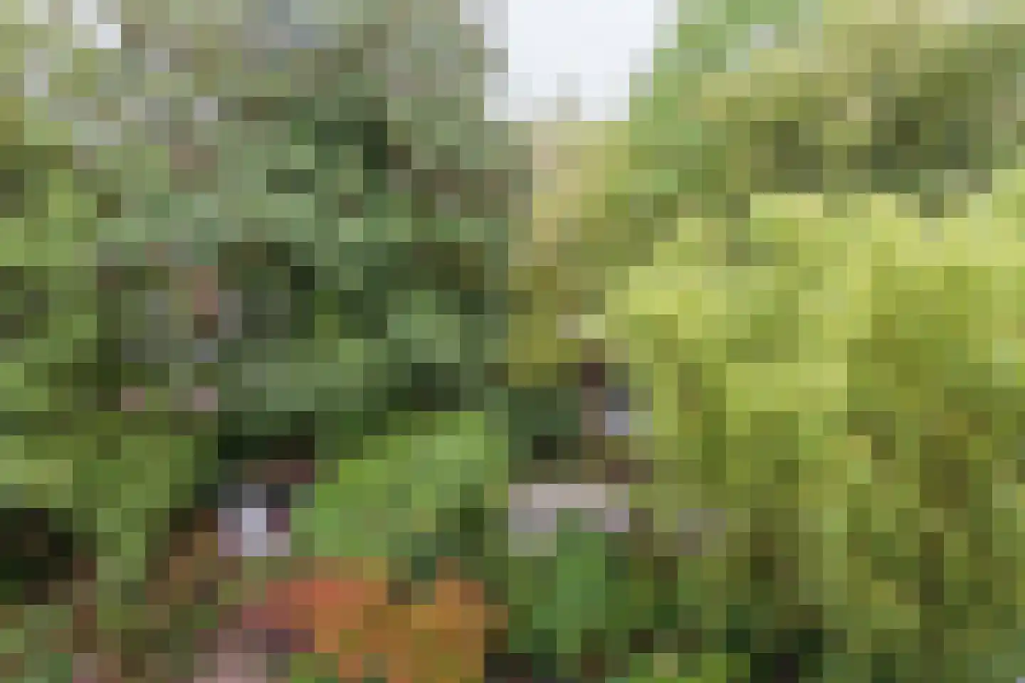 Sarphatipark 112 2 Amsterdam thumbnail 14