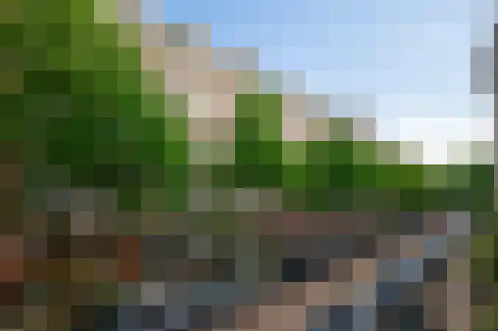Sarphatipark 119 H Amsterdam thumbnail 45