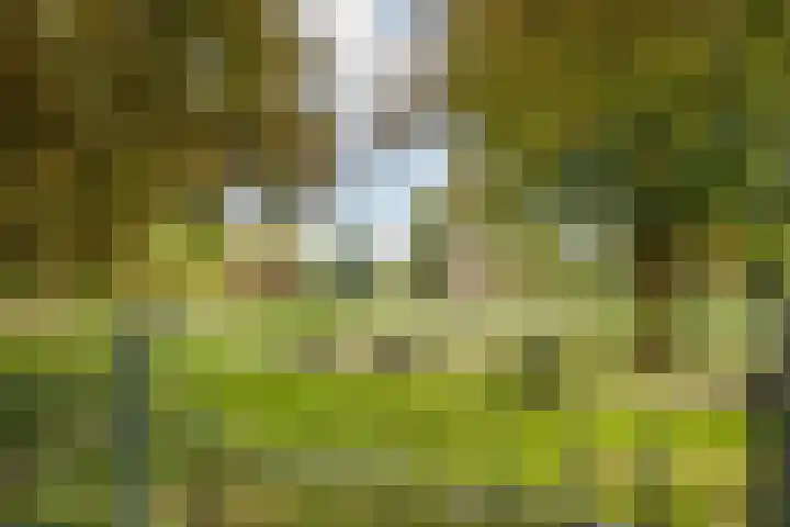 Sarphatipark 119 H Amsterdam thumbnail 46