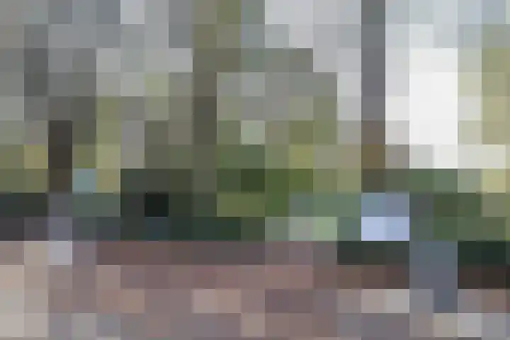 Sarphatipark 119 H Amsterdam thumbnail 47