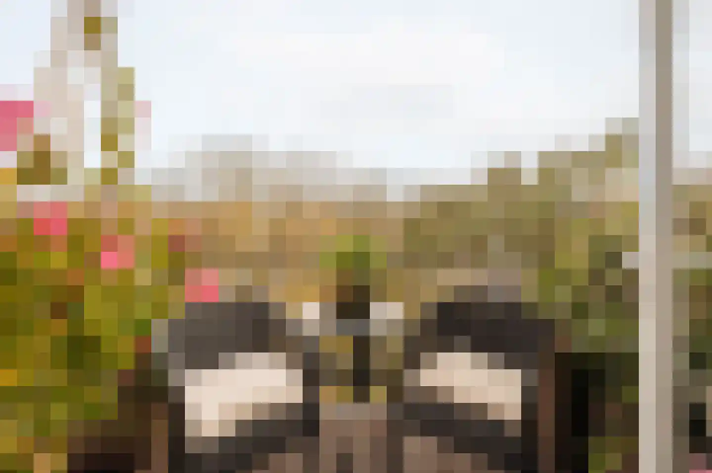 Sarphatipark 122 2 Amsterdam thumbnail 14