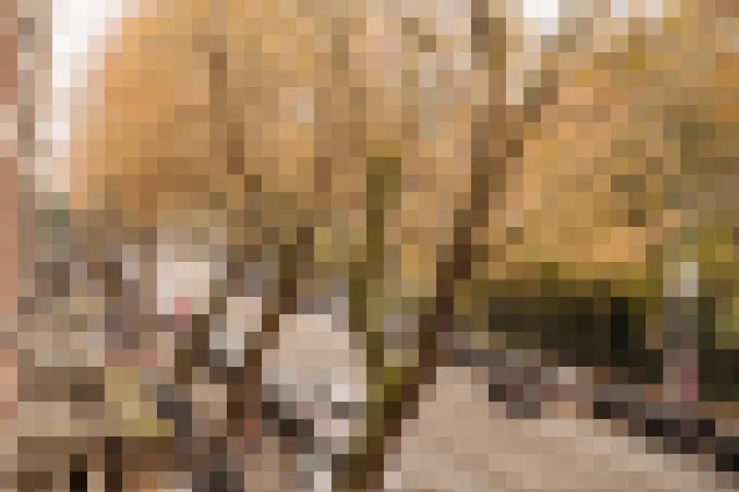 Sarphatipark 122 2 Amsterdam thumbnail 32