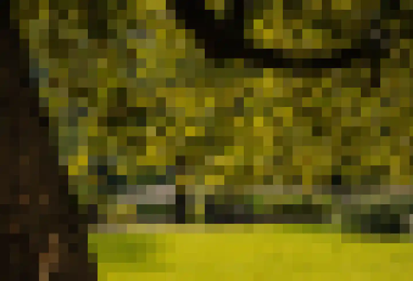 Sarphatipark 122 2 Amsterdam thumbnail 37