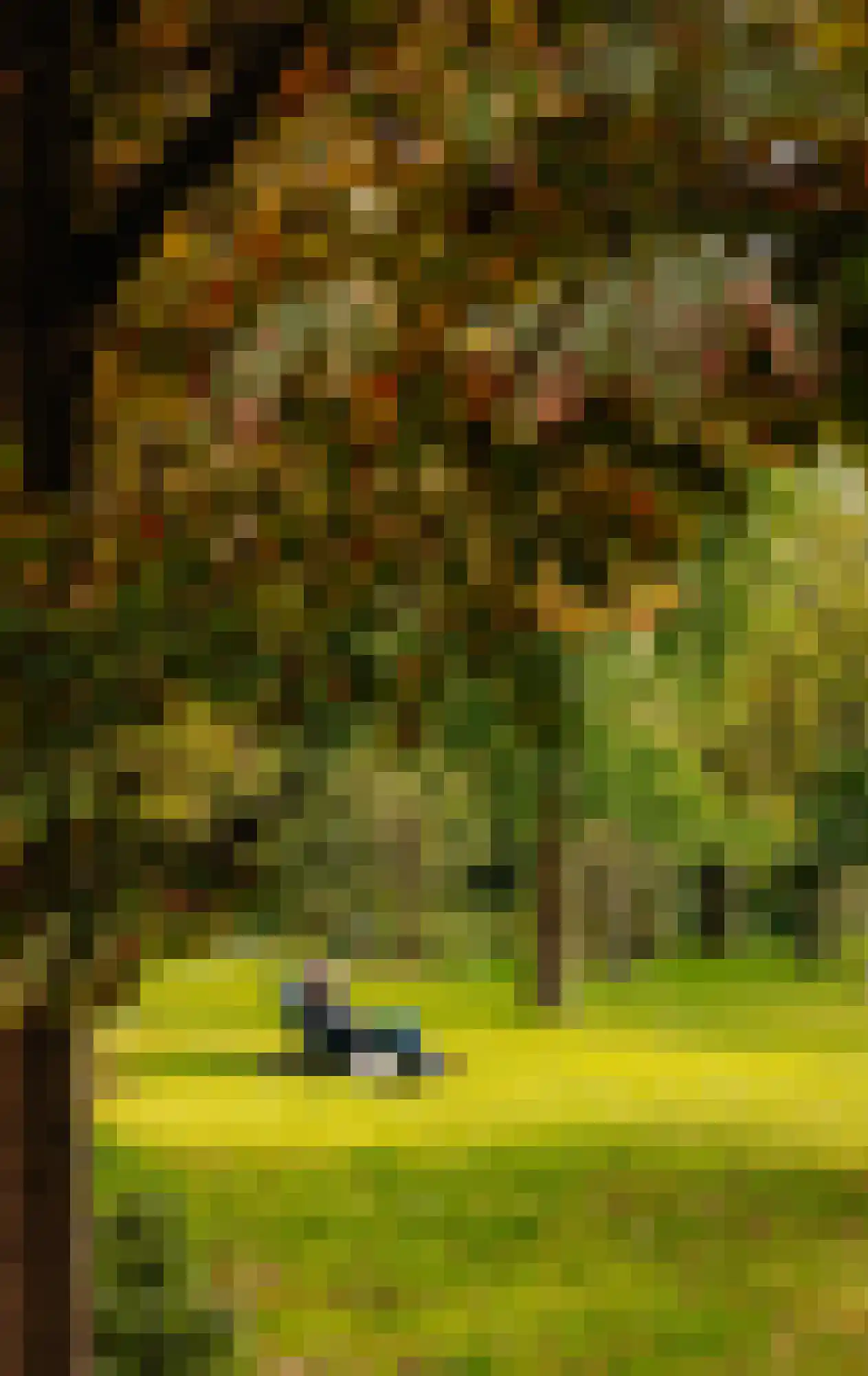 Sarphatipark 122 2 Amsterdam thumbnail 38
