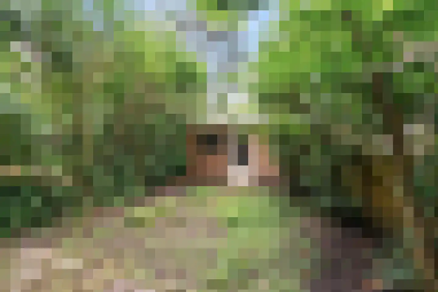 Sarphatipark 131 3 Amsterdam thumbnail 21