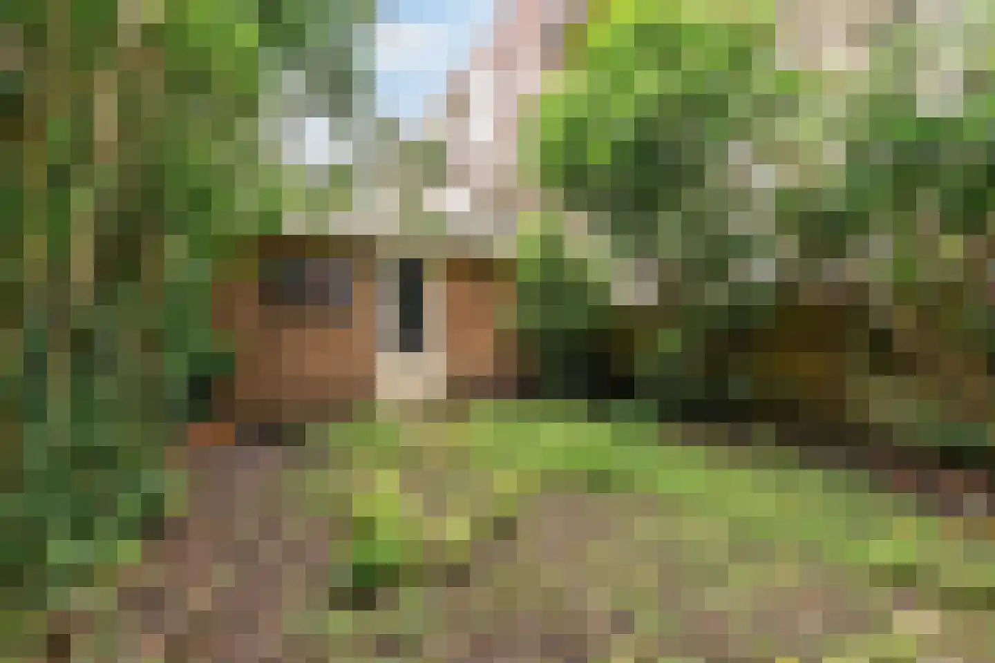 Sarphatipark 131 3 Amsterdam thumbnail 22