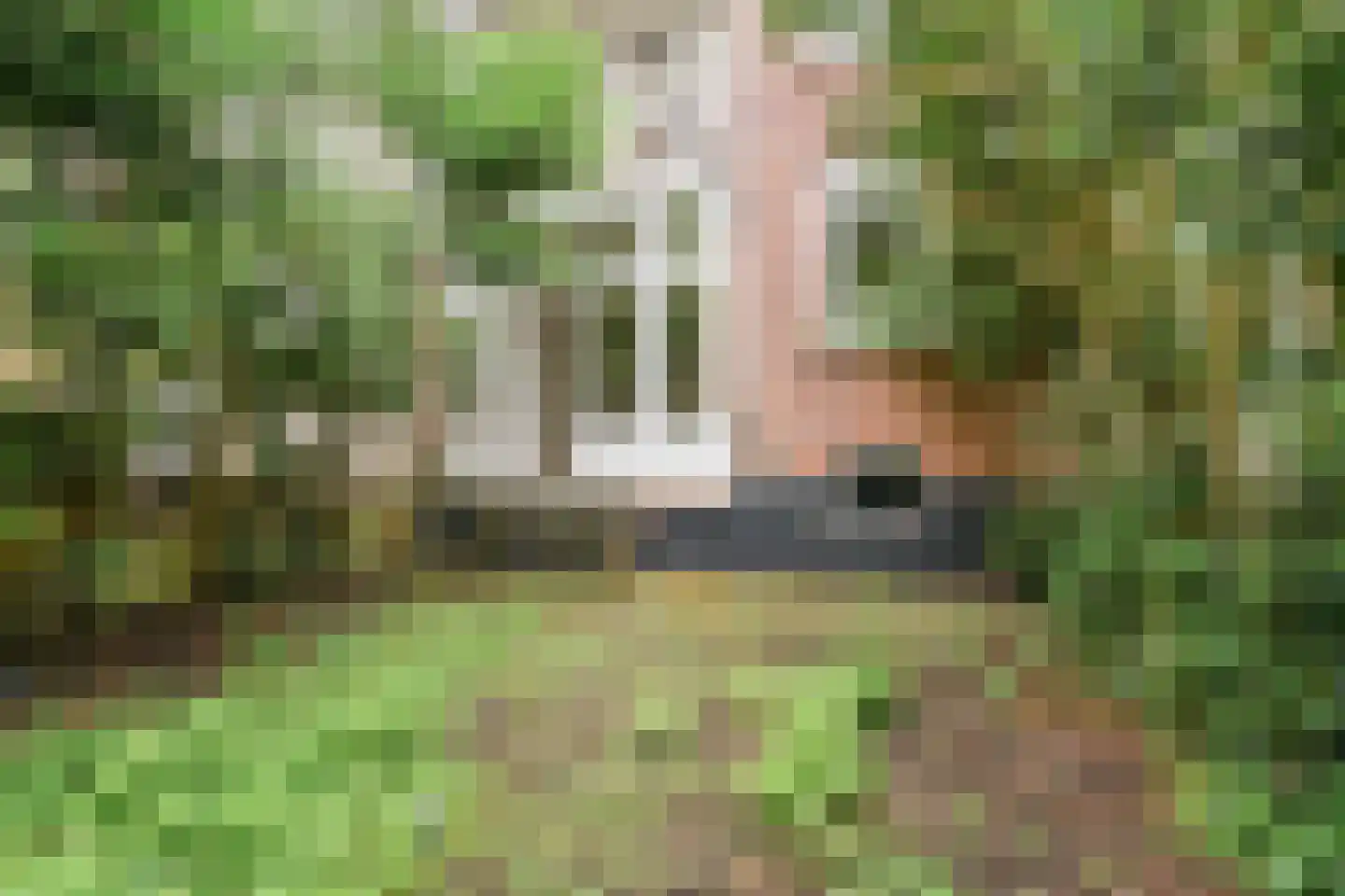Sarphatipark 131 3 Amsterdam thumbnail 23